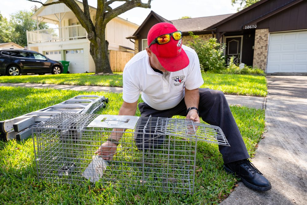 rodent control Conroe, TX