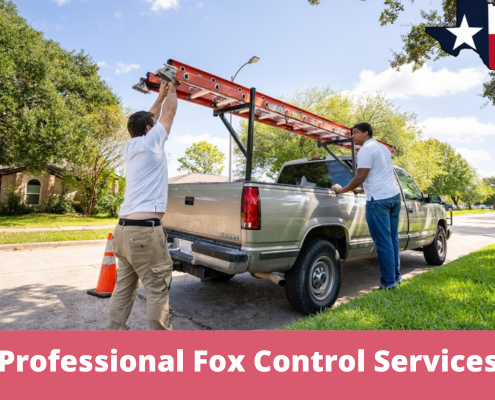 Professional Fox Control Services