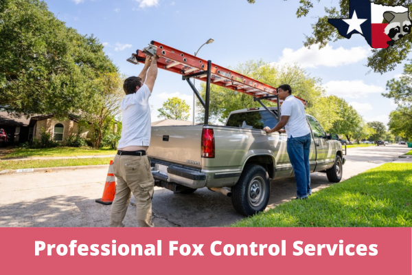 Professional Fox Control Services