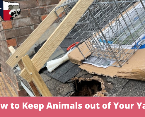 How to Keep Animals out of Your Yard